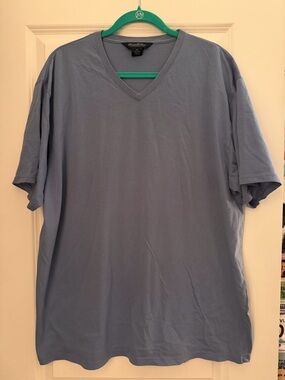 Blue Brooks Brothers V-Neck T-Shirt